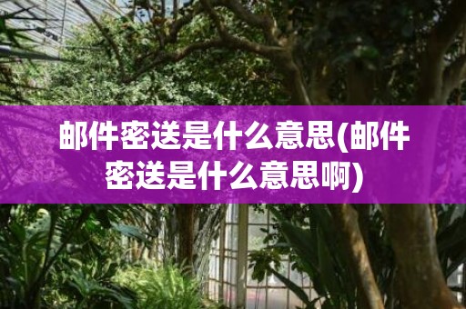 邮件密送是什么意思(邮件密送是什么意思啊)