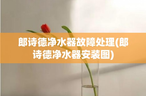 郎诗德净水器故障处理(郎诗德净水器安装图)