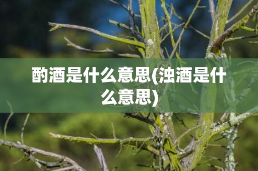 酌酒是什么意思(浊酒是什么意思)