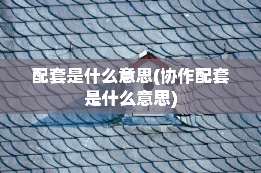 配套是什么意思(协作配套是什么意思)