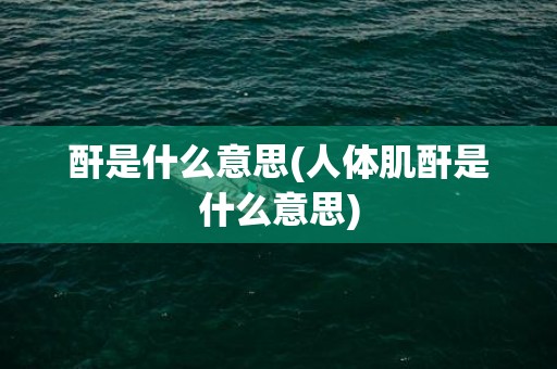 酐是什么意思(人体肌酐是什么意思)