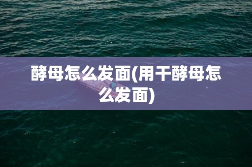 酵母怎么发面(用干酵母怎么发面)