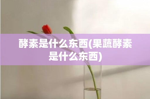 酵素是什么东西(果蔬酵素是什么东西)
