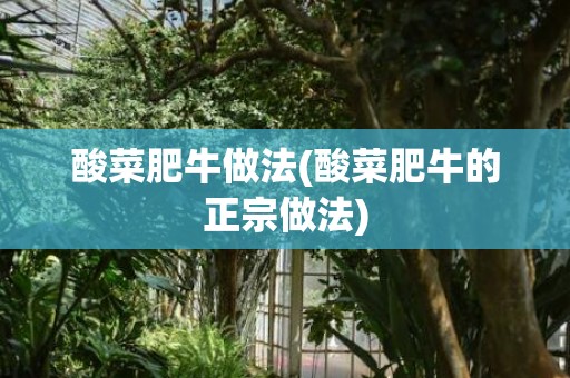 酸菜肥牛做法(酸菜肥牛的正宗做法)