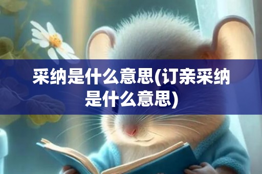 采纳是什么意思(订亲采纳是什么意思)