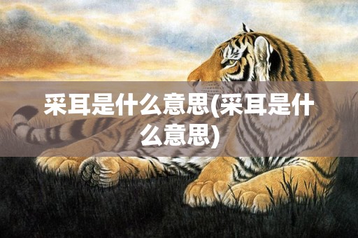 采耳是什么意思(采耳是什么意思)