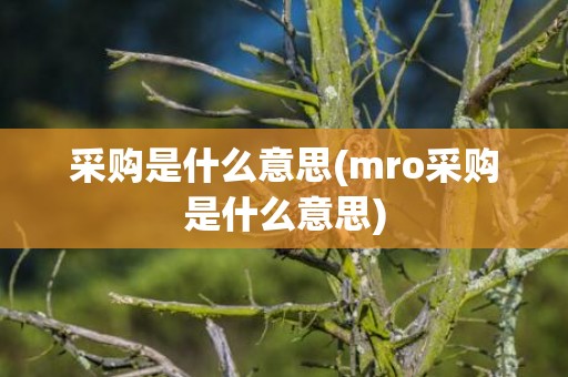 采购是什么意思(mro采购是什么意思)