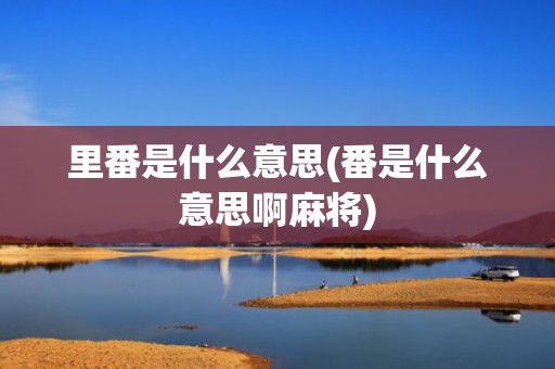 里番是什么意思(番是什么意思啊麻将)