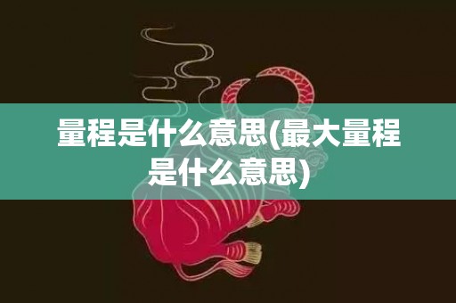 量程是什么意思(最大量程是什么意思)
