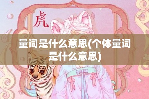 量词是什么意思(个体量词是什么意思)