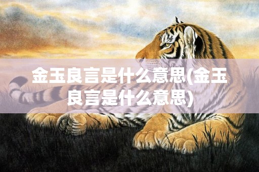 金玉良言是什么意思(金玉良言是什么意思)