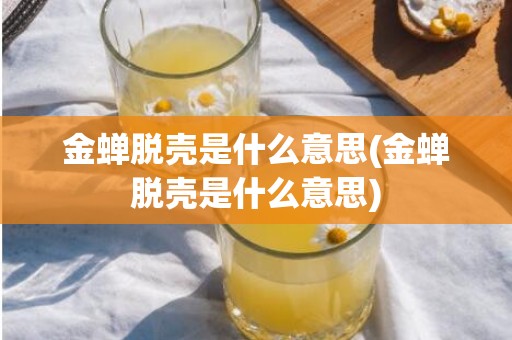 金蝉脱壳是什么意思(金蝉脱壳是什么意思)