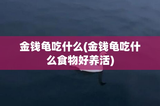 金钱龟吃什么(金钱龟吃什么食物好养活)