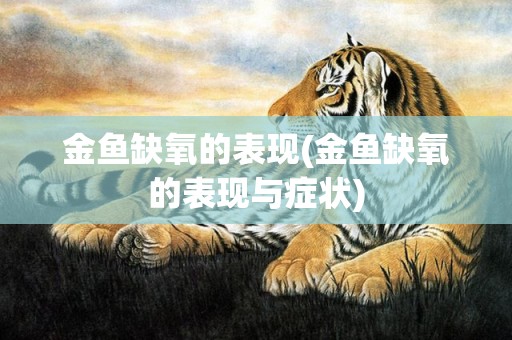 金鱼缺氧的表现(金鱼缺氧的表现与症状)