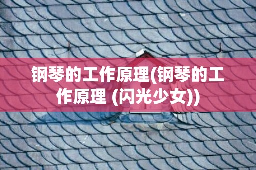 钢琴的工作原理(钢琴的工作原理 (闪光少女))
