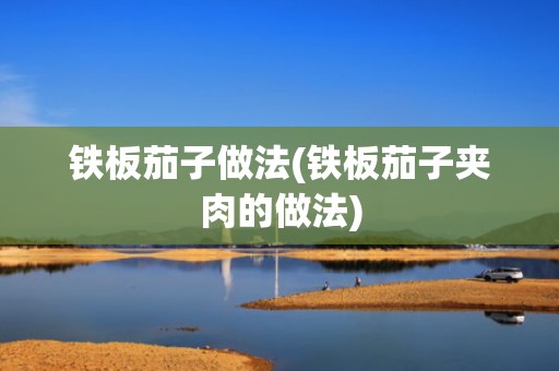 铁板茄子做法(铁板茄子夹肉的做法)