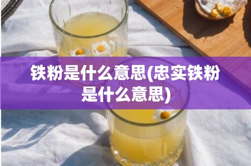 铁粉是什么意思(忠实铁粉是什么意思)