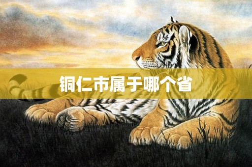 铜仁市属于哪个省
