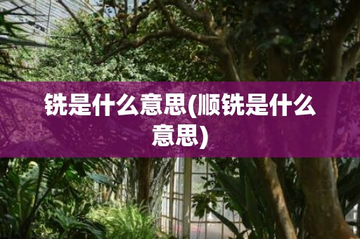 铣是什么意思(顺铣是什么意思)