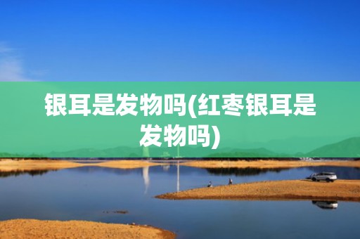 银耳是发物吗(红枣银耳是发物吗)