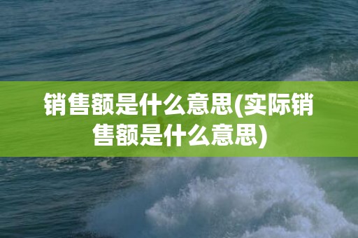 销售额是什么意思(实际销售额是什么意思)