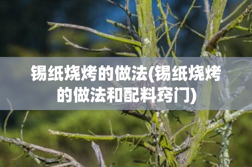 锡纸烧烤的做法(锡纸烧烤的做法和配料窍门)