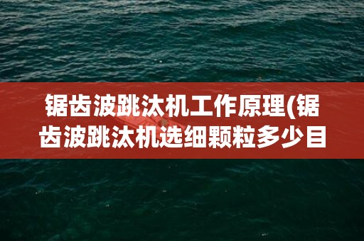 锯齿波跳汰机工作原理(锯齿波跳汰机选细颗粒多少目)