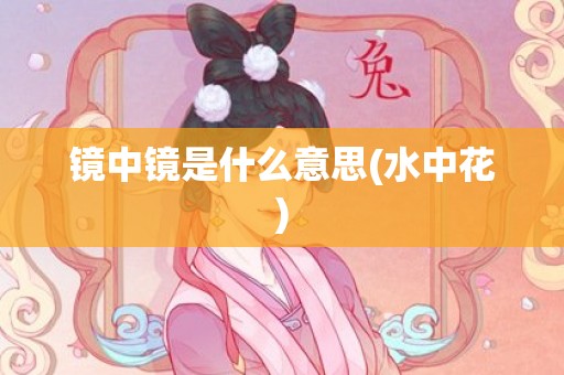镜中镜是什么意思(水中花)