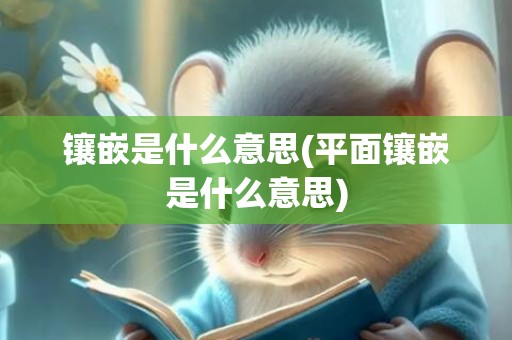 镶嵌是什么意思(平面镶嵌是什么意思)