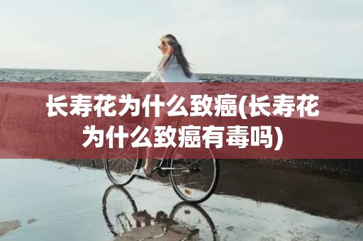 长寿花为什么致癌(长寿花为什么致癌有毒吗)