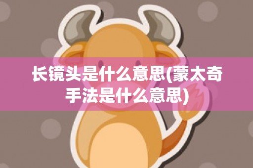 长镜头是什么意思(蒙太奇手法是什么意思)
