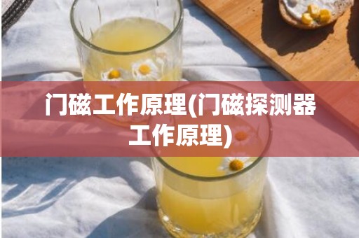 门磁工作原理(门磁探测器工作原理)