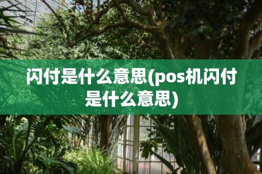 闪付是什么意思(pos机闪付是什么意思)