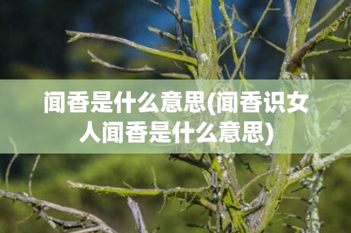 闻香是什么意思(闻香识女人闻香是什么意思)