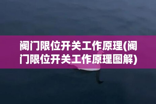 阀门限位开关工作原理(阀门限位开关工作原理图解)