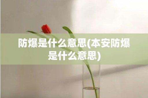 防爆是什么意思(本安防爆是什么意思)