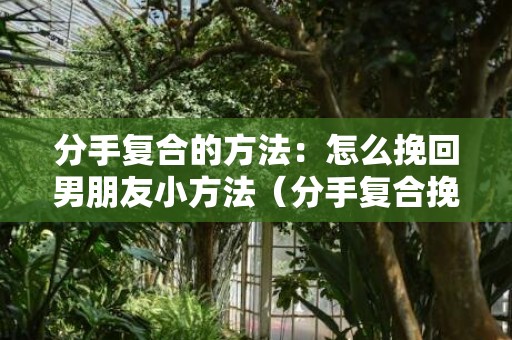 分手复合的方法：怎么挽回男朋友小方法（分手复合挽回前任攻略）