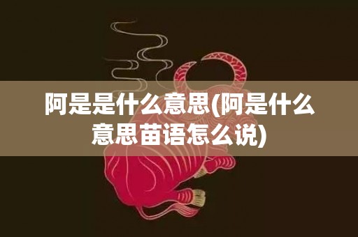 阿是是什么意思(阿是什么意思苗语怎么说)