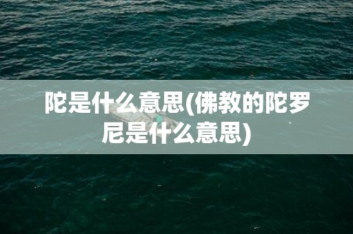 陀是什么意思(佛教的陀罗尼是什么意思)