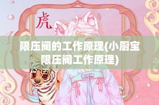 限压阀的工作原理(小厨宝限压阀工作原理)