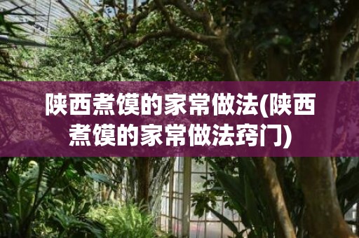陕西煮馍的家常做法(陕西煮馍的家常做法窍门)