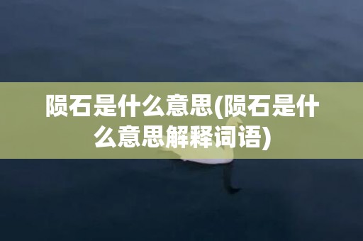 陨石是什么意思(陨石是什么意思解释词语)