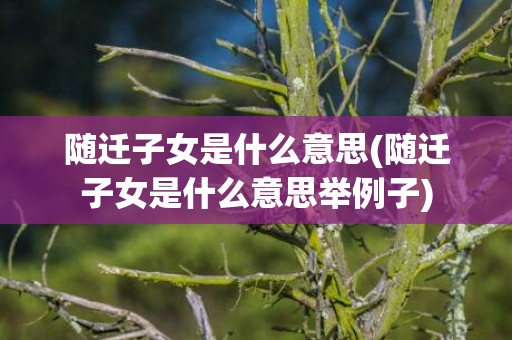 随迁子女是什么意思(随迁子女是什么意思举例子)
