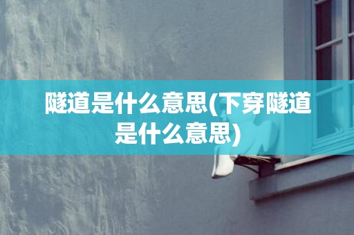 隧道是什么意思(下穿隧道是什么意思)