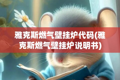 雅克斯燃气壁挂炉代码(雅克斯燃气壁挂炉说明书)