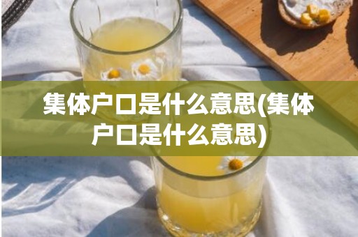 集体户口是什么意思(集体户口是什么意思)