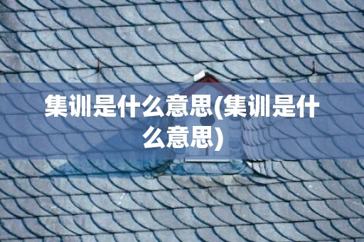 集训是什么意思(集训是什么意思)