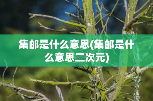 集邮是什么意思(集邮是什么意思二次元)