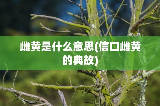 雌黄是什么意思(信口雌黄的典故)