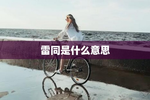 雷同是什么意思